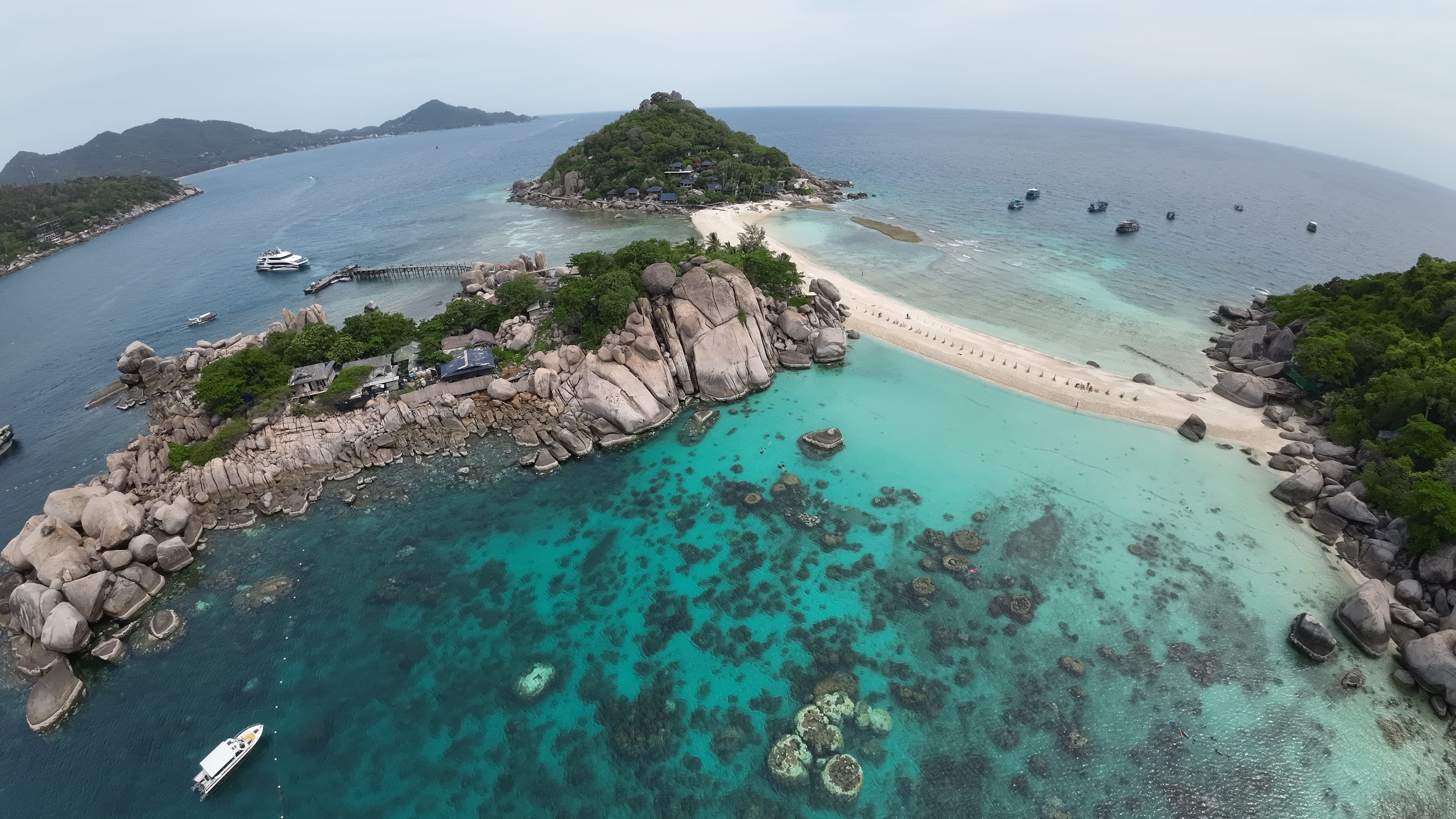 Pig Island Thaïlande